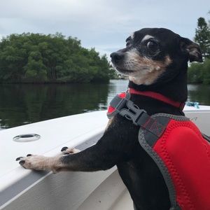 Meet your Posher, Elisha